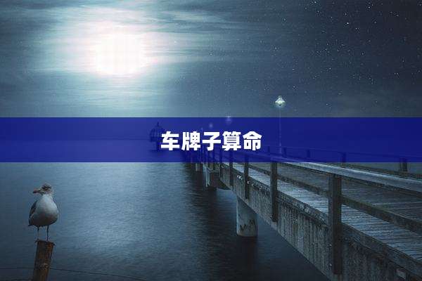 车牌子算命
