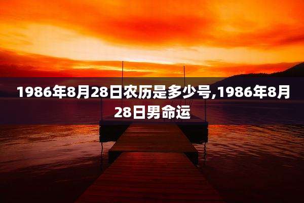 1986年8月28日农历是多少号,1986年8月28日男命运