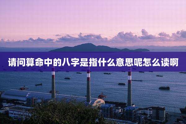 请问算命中的八字是指什么意思呢怎么读啊