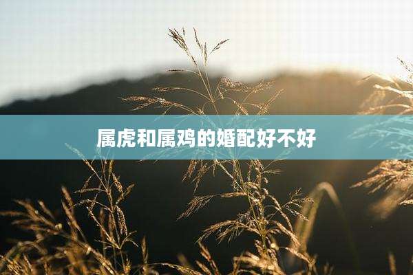 属虎和属鸡的婚配好不好