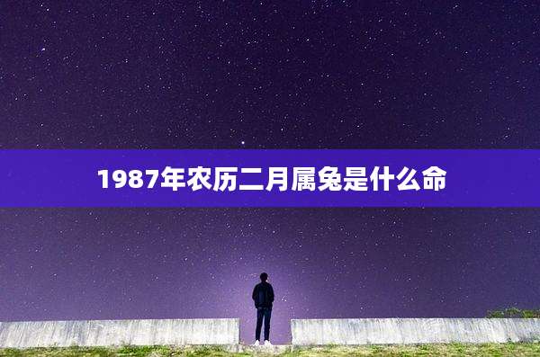 1987年农历二月属兔是什么命