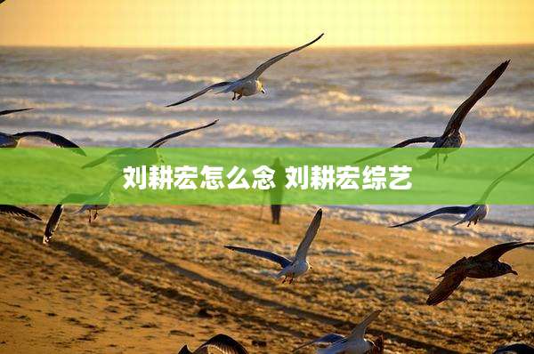 刘耕宏怎么念 刘耕宏综艺