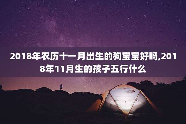 2018年农历十一月出生的狗宝宝好吗,2018年11月生的孩子五行什么