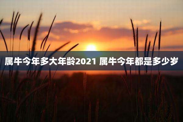 属牛今年多大年龄2021 属牛今年都是多少岁