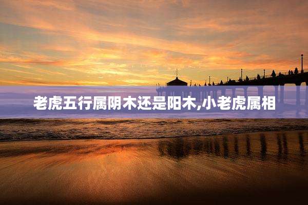 老虎五行属阴木还是阳木,小老虎属相