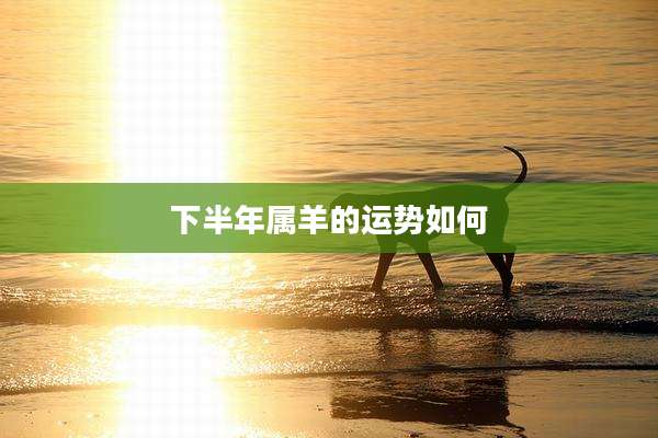 下半年属羊的运势如何