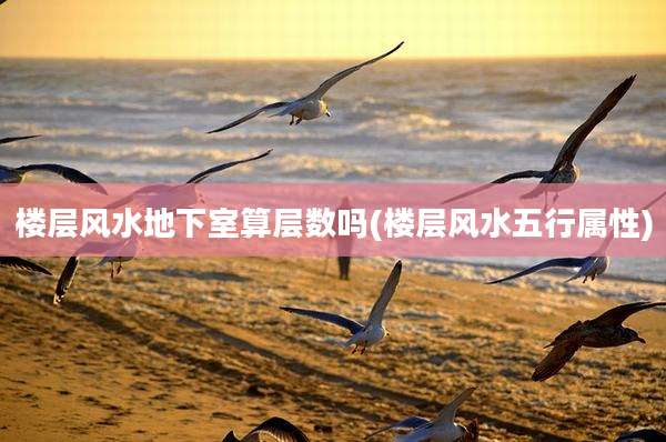 楼层风水地下室算层数吗(楼层风水五行属性)