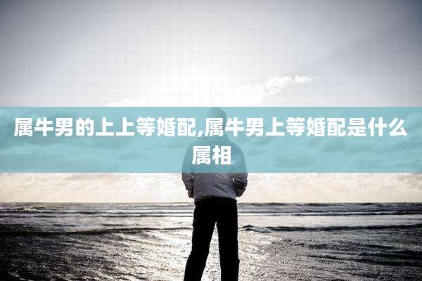 属牛男的上上等婚配,属牛男上等婚配是什么属相