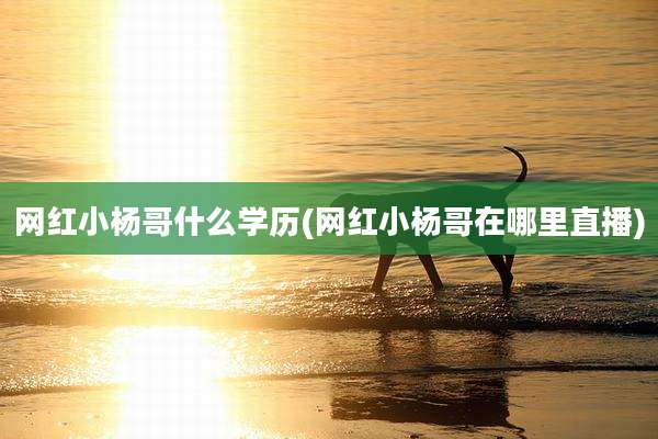网红小杨哥什么学历(网红小杨哥在哪里直播)
