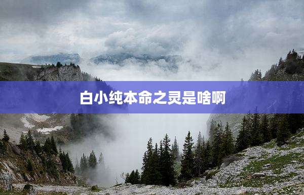 白小纯本命之灵是啥啊