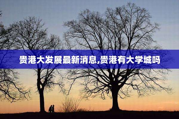 贵港大发展最新消息,贵港有大学城吗