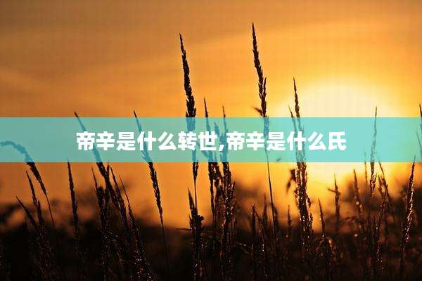 帝辛是什么转世,帝辛是什么氏