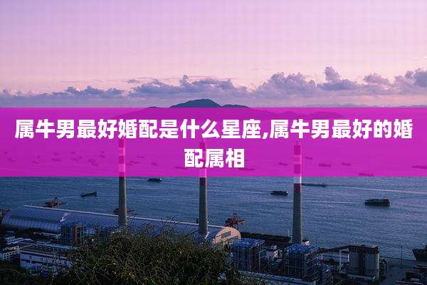 属牛男最好婚配是什么星座,属牛男最好的婚配属相