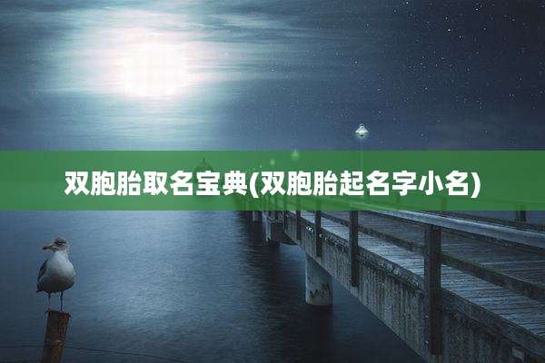 双胞胎取名宝典(双胞胎起名字小名)