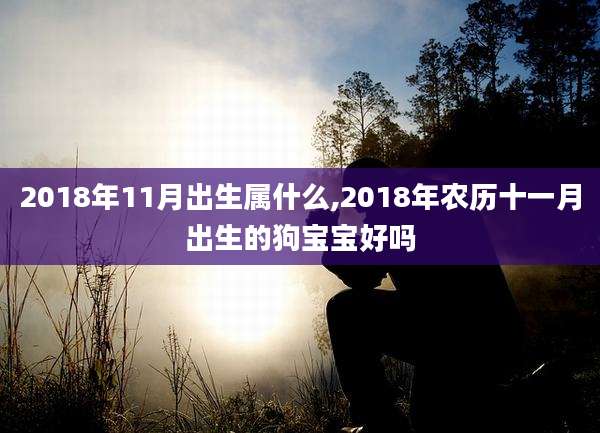 2018年11月出生属什么,2018年农历十一月出生的狗宝宝好吗
