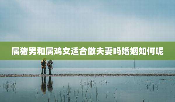 属猪男和属鸡女适合做夫妻吗婚姻如何呢