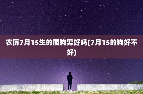 农历7月15生的属狗男好吗(7月15的狗好不好)