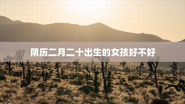 阴历二月二十出生的女孩好不好