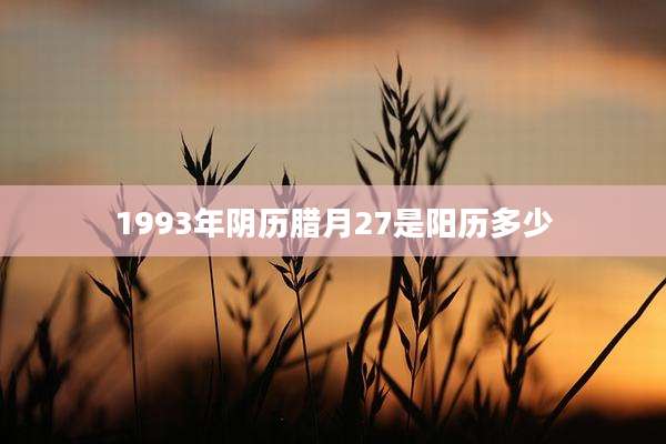 1993年阴历腊月27是阳历多少