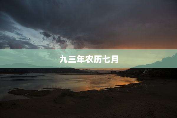九三年农历七月