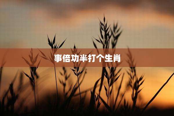 事倍功半打个生肖