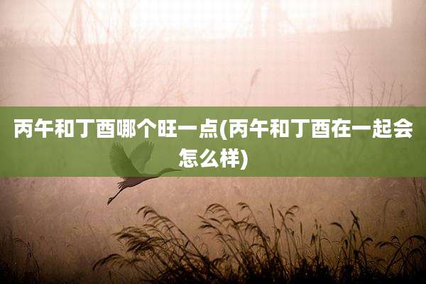 丙午和丁酉哪个旺一点(丙午和丁酉在一起会怎么样)