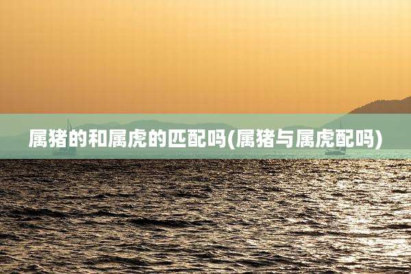 属猪的和属虎的匹配吗(属猪与属虎配吗)