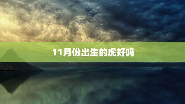 11月份出生的虎好吗