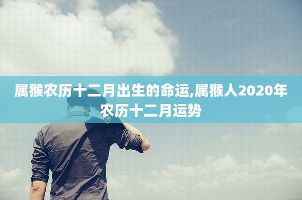 属猴农历十二月出生的命运,属猴人2020年农历十二月运势