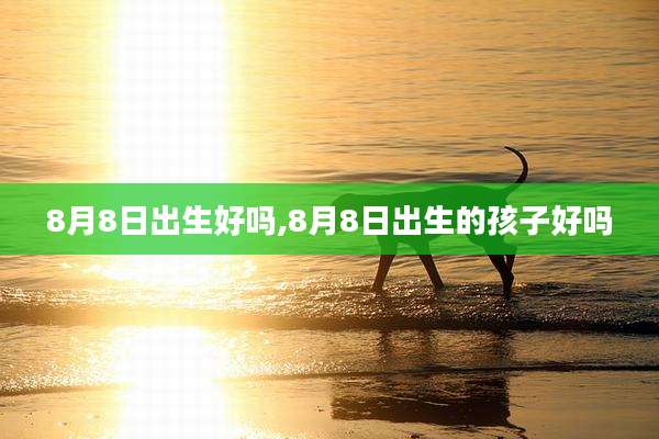 8月8日出生好吗,8月8日出生的孩子好吗