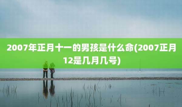 2007年正月十一的男孩是什么命(2007正月12是几月几号)