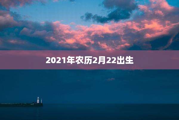 2021年农历2月22出生