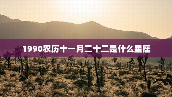 1990农历十一月二十二是什么星座