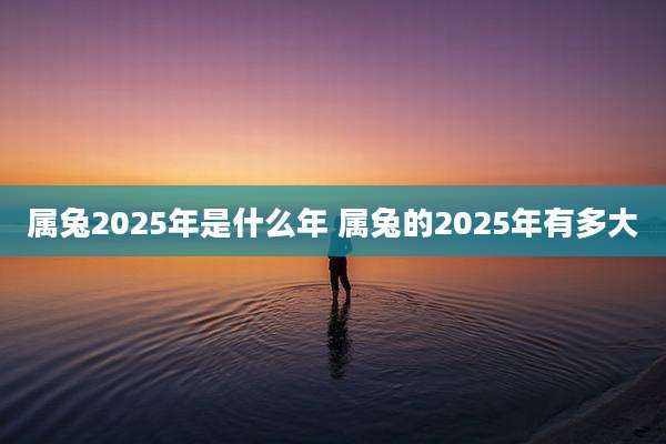 属兔2025年是什么年 属兔的2025年有多大