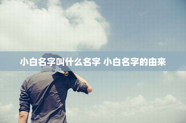 小白名字叫什么名字 小白名字的由来