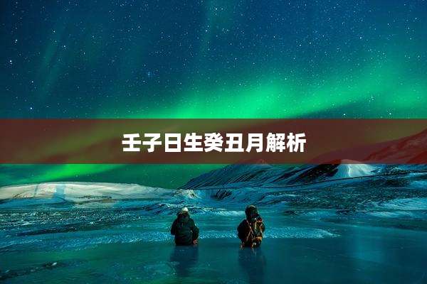 壬子日生癸丑月解析