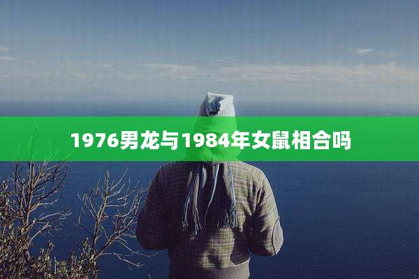 1976男龙与1984年女鼠相合吗