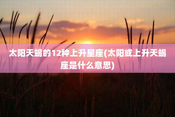 太阳天蝎的12种上升星座(太阳或上升天蝎座是什么意思)