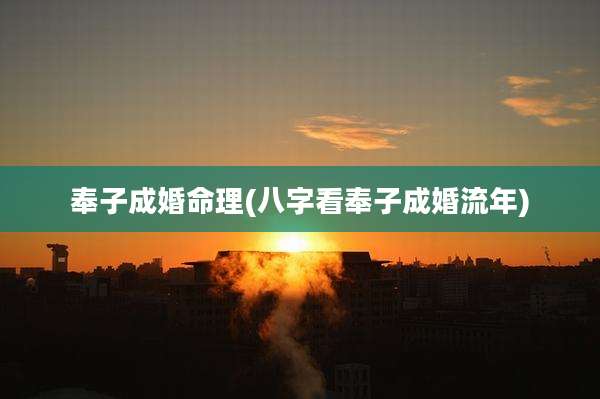 奉子成婚命理(八字看奉子成婚流年)