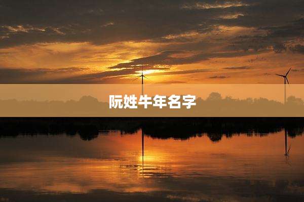 阮姓牛年名字