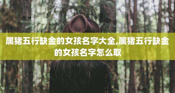 属猪五行缺金的女孩名字大全,属猪五行缺金的女孩名字怎么取