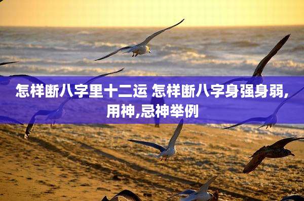 怎样断八字里十二运 怎样断八字身强身弱,用神,忌神举例