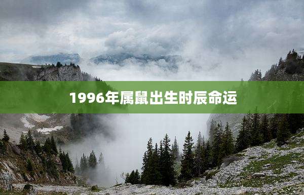 1996年属鼠出生时辰命运