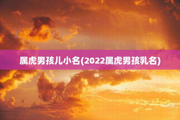 属虎男孩儿小名(2022属虎男孩乳名)