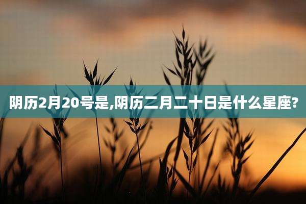 阴历2月20号是,阴历二月二十日是什么星座?