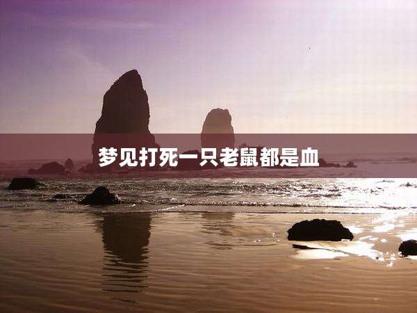梦见打死一只老鼠都是血