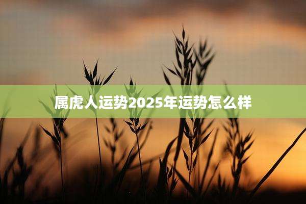属虎人运势2025年运势怎么样