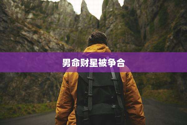 男命财星被争合