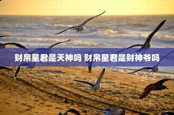 财帛星君是天神吗 财帛星君是财神爷吗