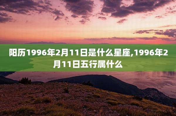 阳历1996年2月11日是什么星座,1996年2月11日五行属什么